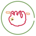 icon 4