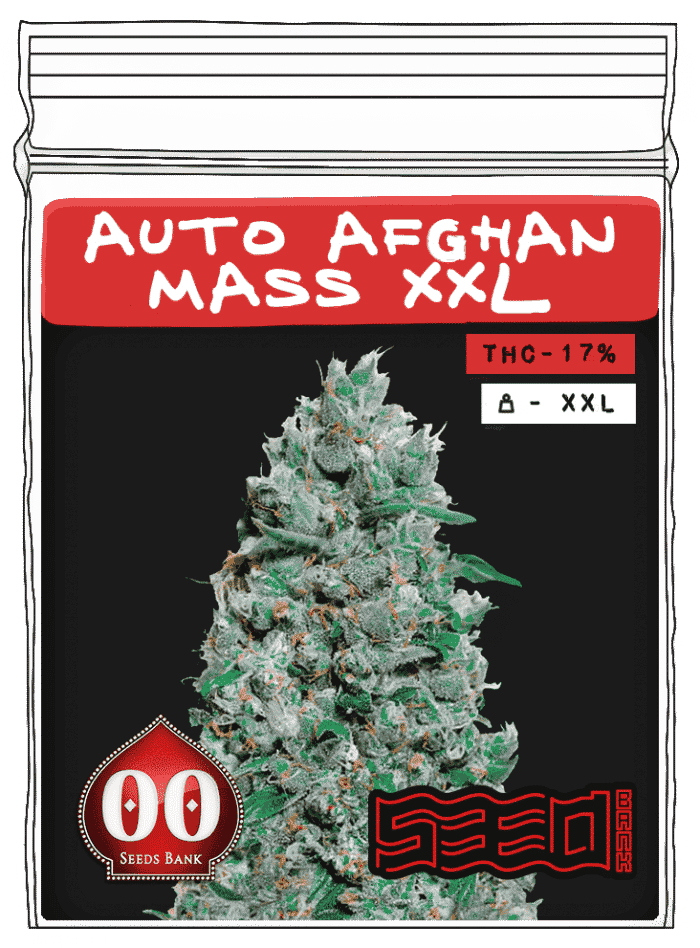 Auto-Afghan-Mass-XXL-min Auto Afghan Mass XXL - Image 1
