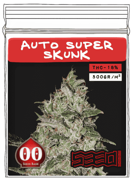 Auto Super Skunk