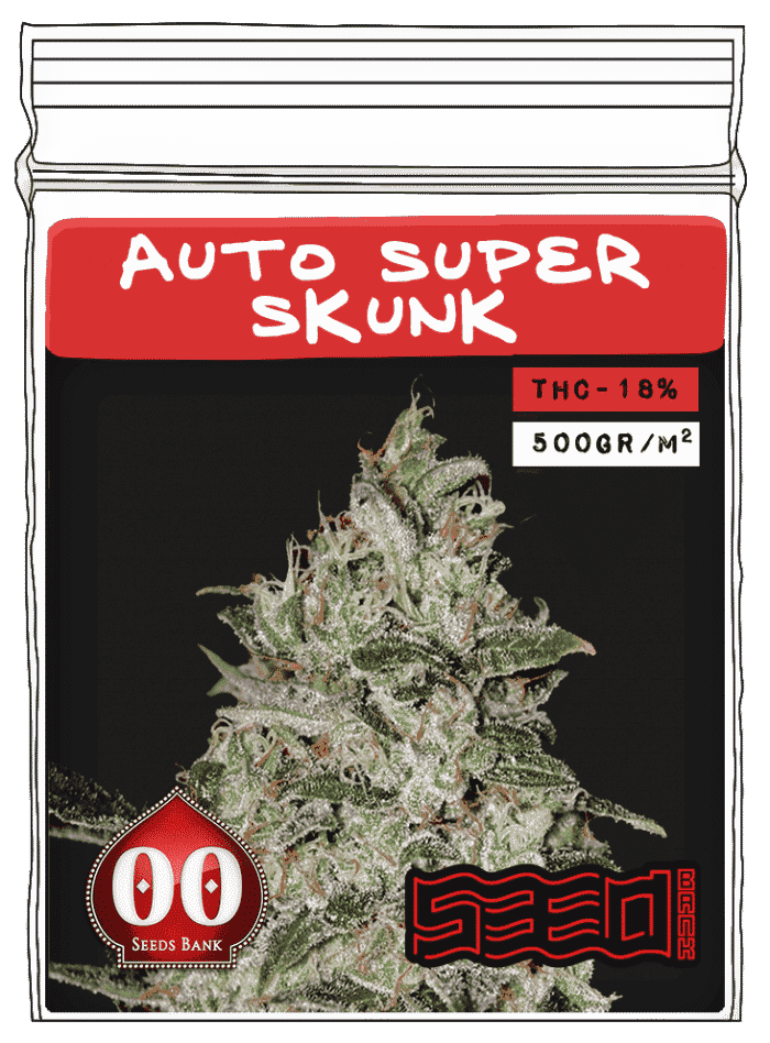 Auto-Super-Skunk-min Auto Super Skunk - Image 1