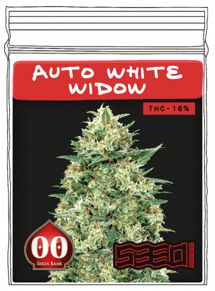 Auto White Widow