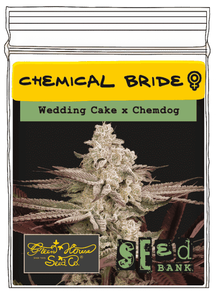 Chemical bride