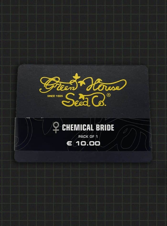 Chemical-Bride Chemical bride - Image 2
