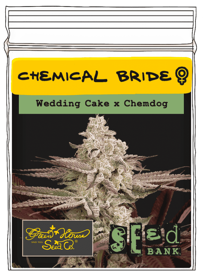 Chemical-Bride Chemical bride - Image 1