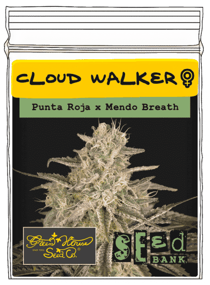 Cloud walker