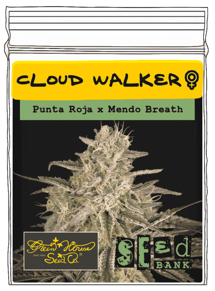 Cloud walker - Image 1