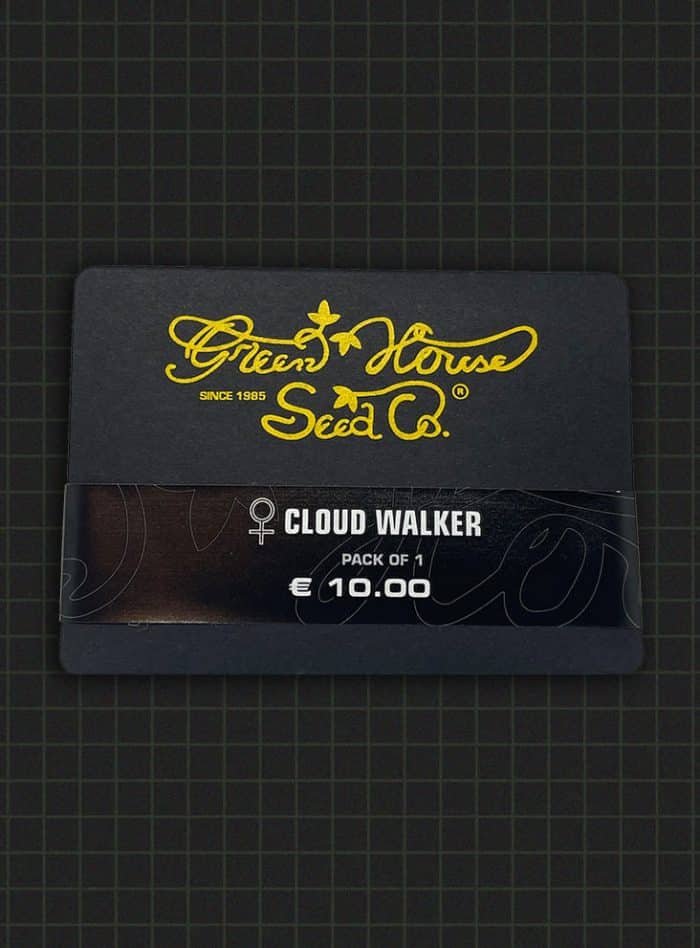 Cloud walker - Image 2