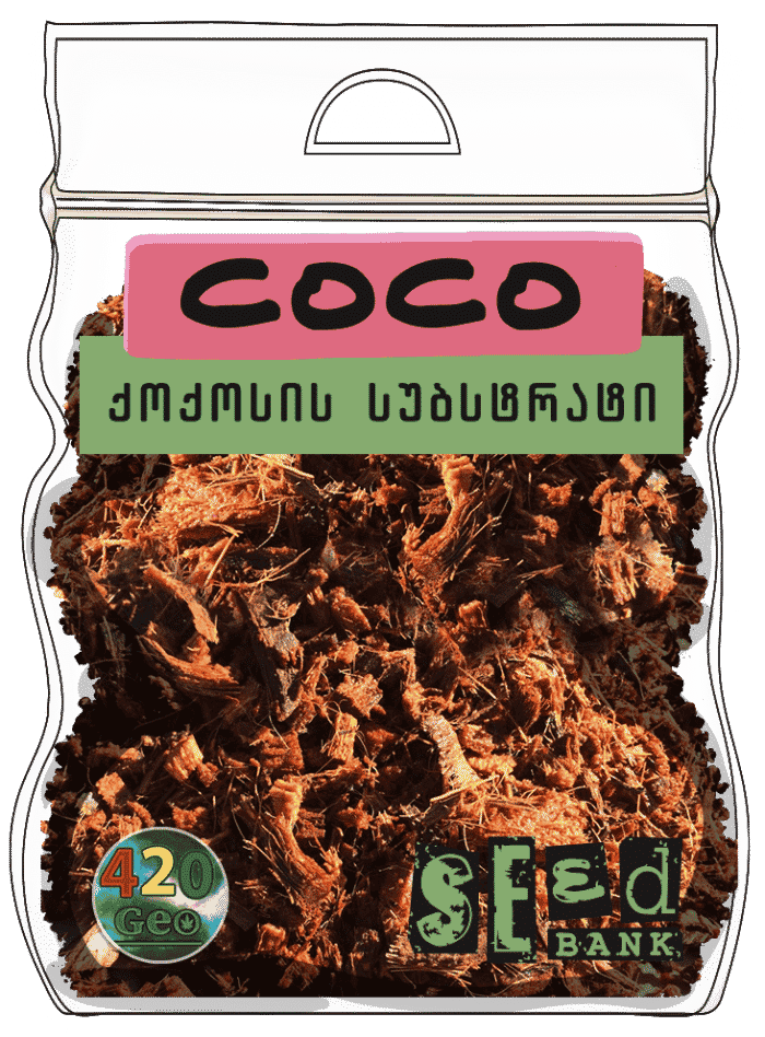 Coconut ქოქოსი - Image 1