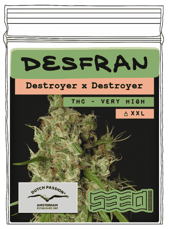 Desfran-1 Desfran - Image 1