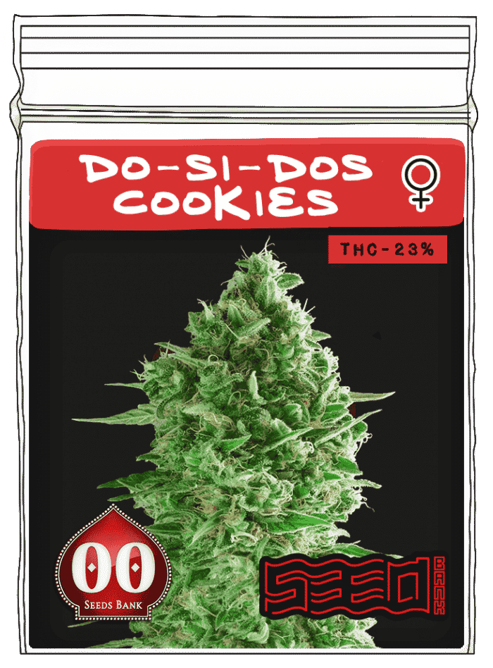 Do-Si-Dos-Cookies Auto Do-Si-Dos Cookies - Image 1