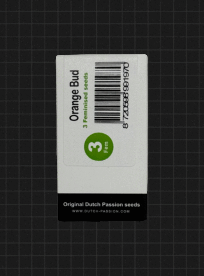 IMG_7897 Orange Bud ® - Image 1