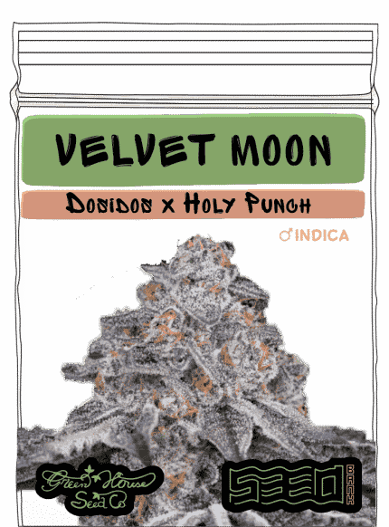 Velvet Moon