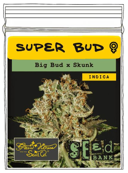 Super Bud