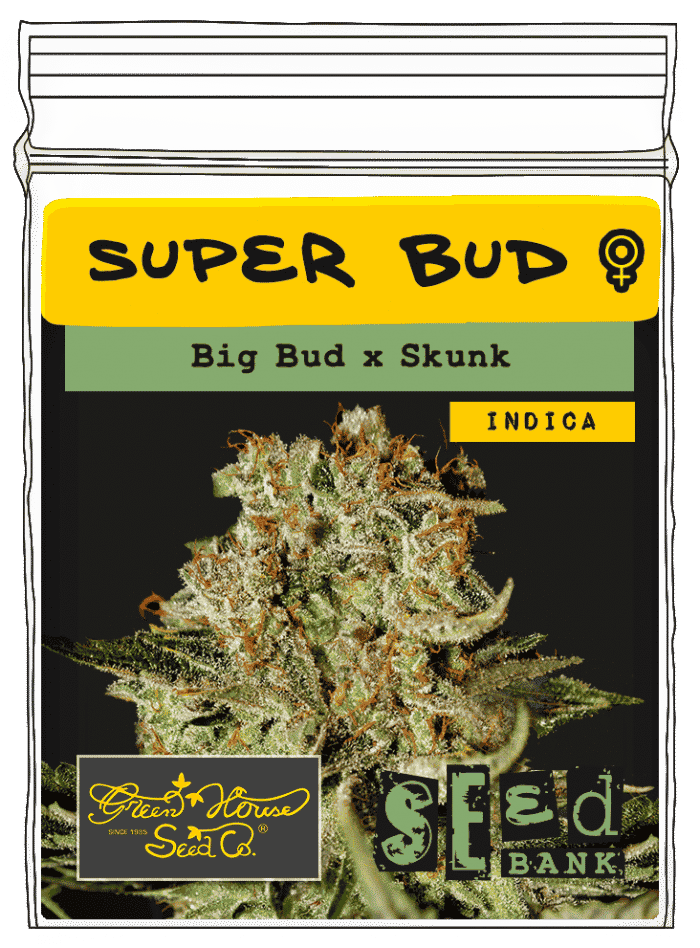 Super-Bud-1 Super Bud - Image 1