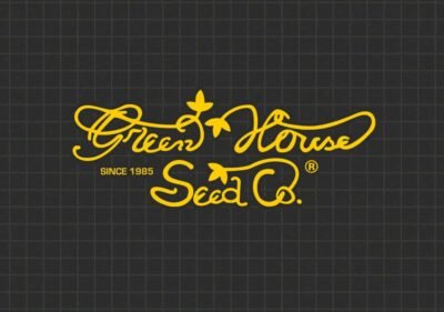 blog cover 1