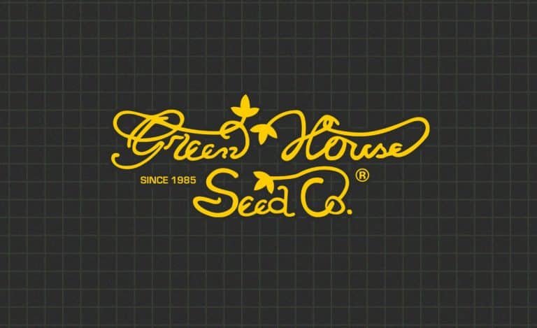 blog cover 1