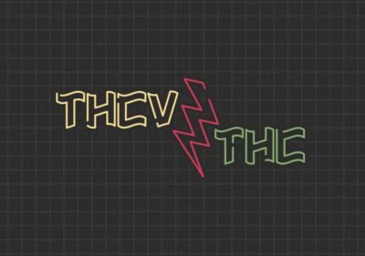 blog cover 2