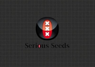 blog cover 3